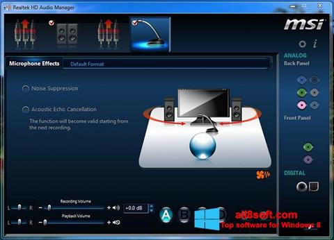 Screenshot Realtek Audio Driver Windows 8