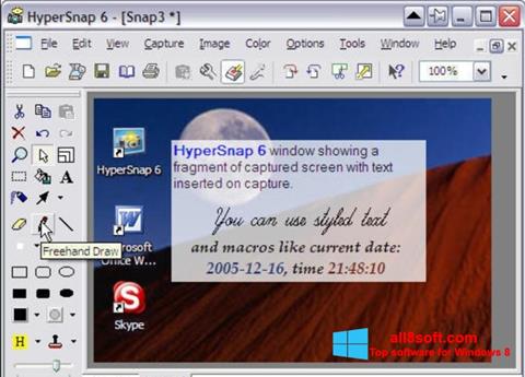 Screenshot HyperSnap Windows 8