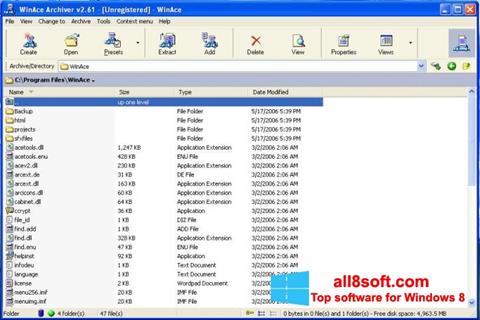 Screenshot WinAce Windows 8