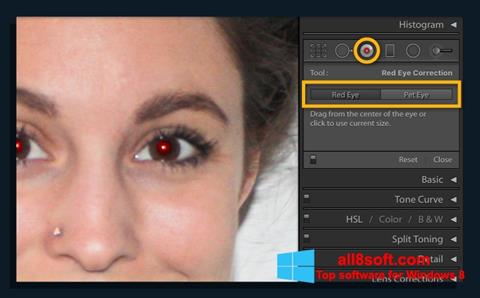 Screenshot Red Eye Remover Windows 8