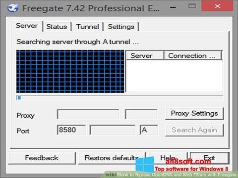 Screenshot Freegate Windows 8